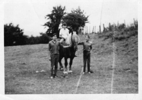 Image Not Found On Media Library