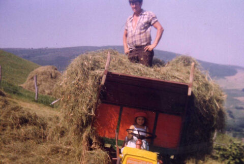 Image Not Found On Media Library