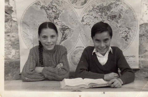 Image Not Found On Media Library