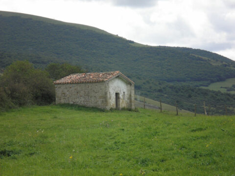 Image Not Found On Media Library