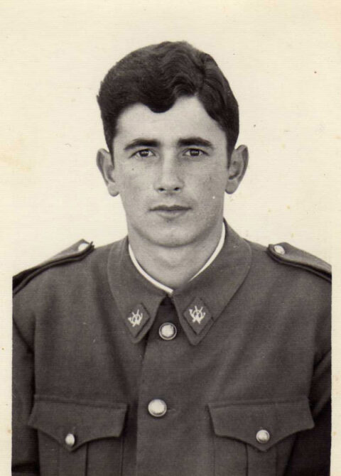 Image Not Found On Media Library