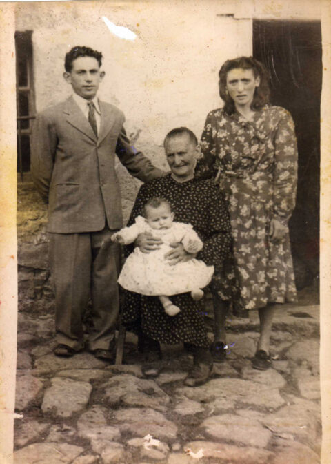 Image Not Found On Media Library