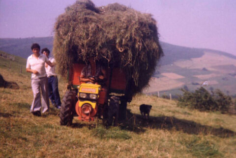 Image Not Found On Media Library