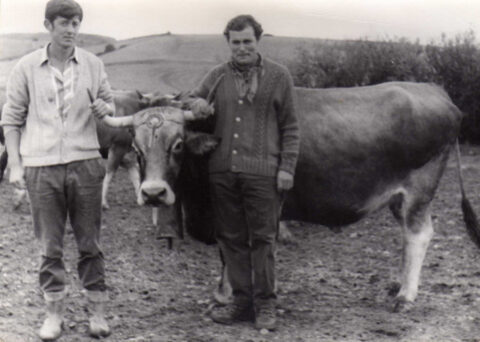 Image Not Found On Media Library