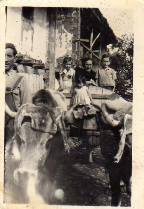 Image Not Found On Media Library