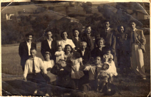 Image Not Found On Media Library