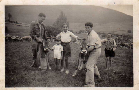 Image Not Found On Media Library