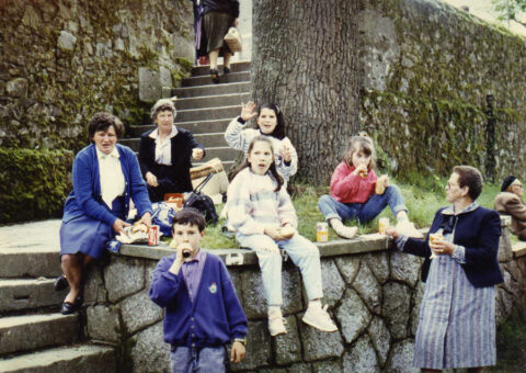 Image Not Found On Media Library