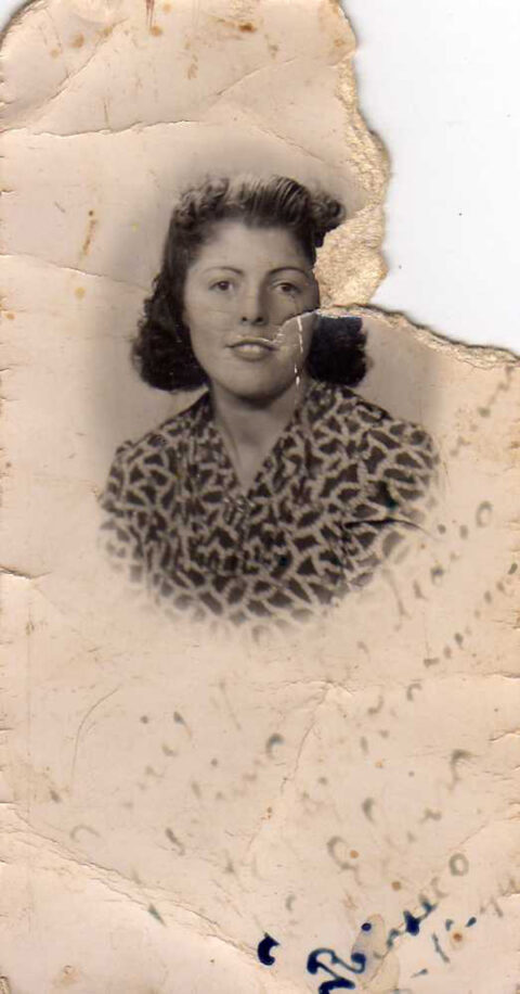 Image Not Found On Media Library