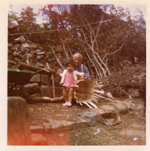 Image Not Found On Media Library