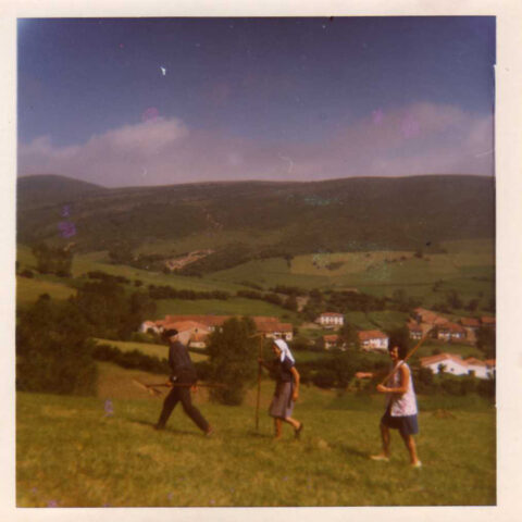 Image Not Found On Media Library