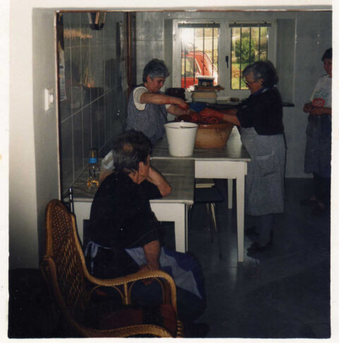 Image Not Found On Media Library