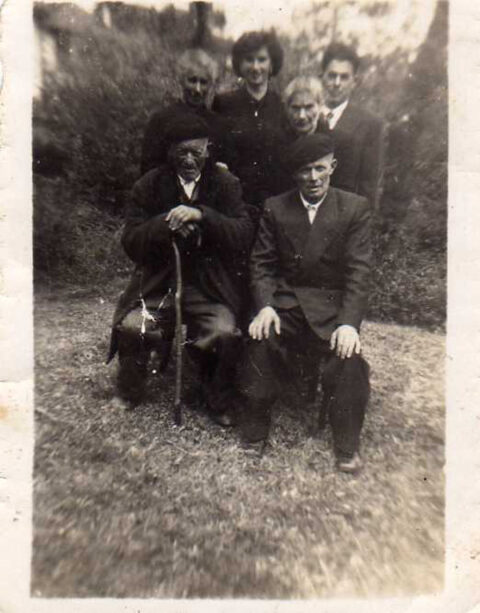 Image Not Found On Media Library