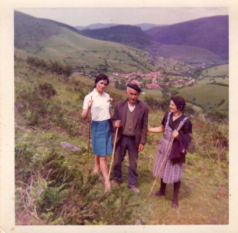 Image Not Found On Media Library
