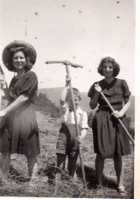 Image Not Found On Media Library