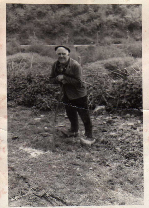 Image Not Found On Media Library