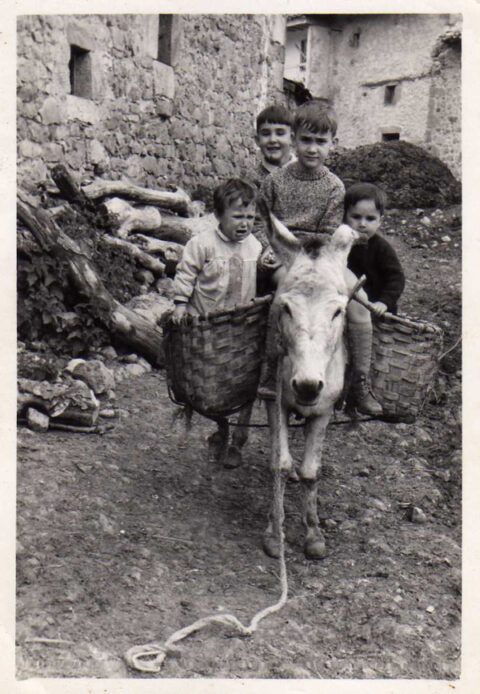 Image Not Found On Media Library