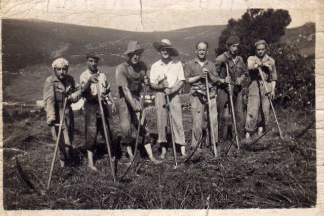 Image Not Found On Media Library