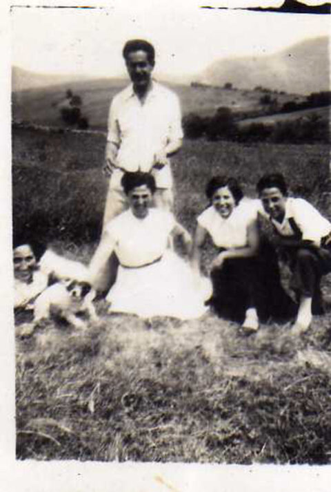 Image Not Found On Media Library