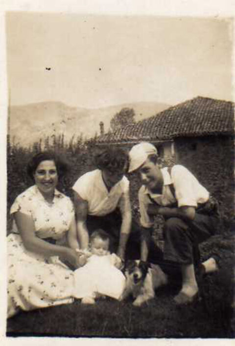 Image Not Found On Media Library
