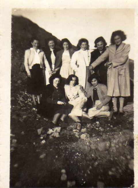 Image Not Found On Media Library