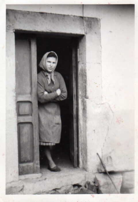 Image Not Found On Media Library