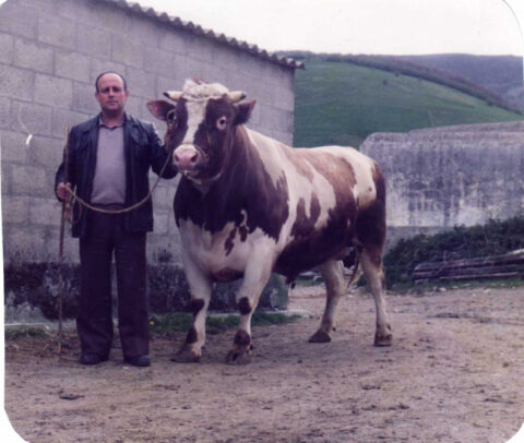 Image Not Found On Media Library