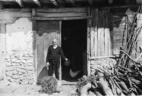 Image Not Found On Media Library