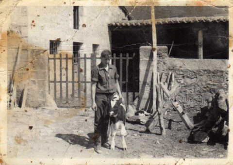 Image Not Found On Media Library