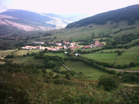 Image Not Found On Media Library