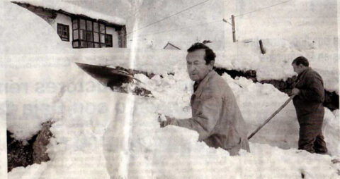 Image Not Found On Media Library