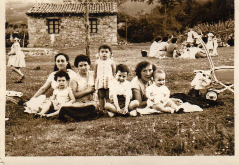 Image Not Found On Media Library