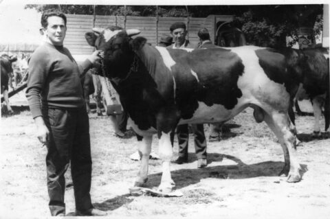 Image Not Found On Media Library