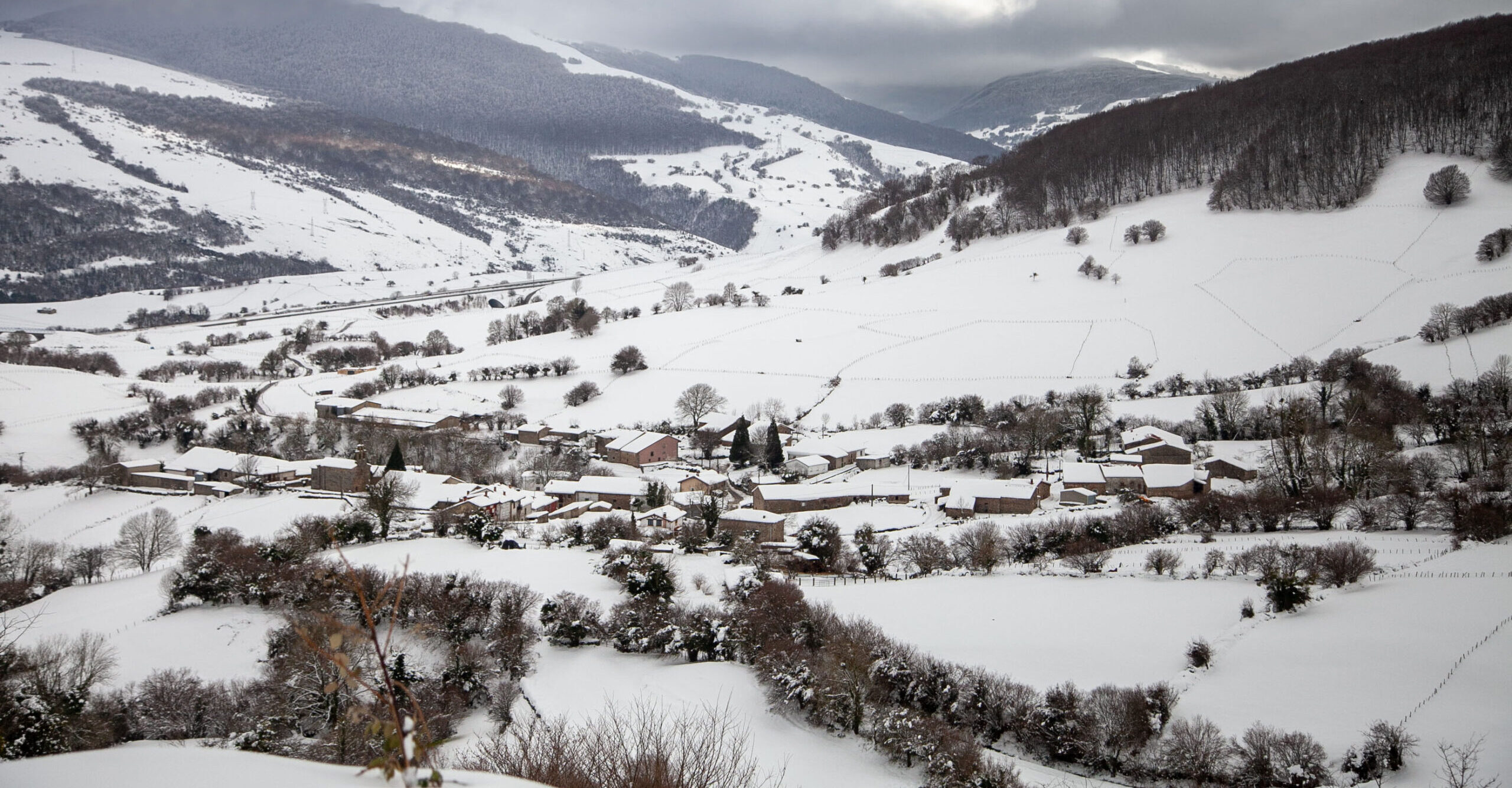 Image Not Found On Media Library