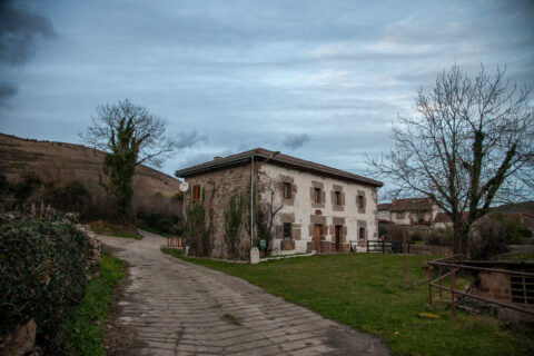 Image Not Found On Media Library