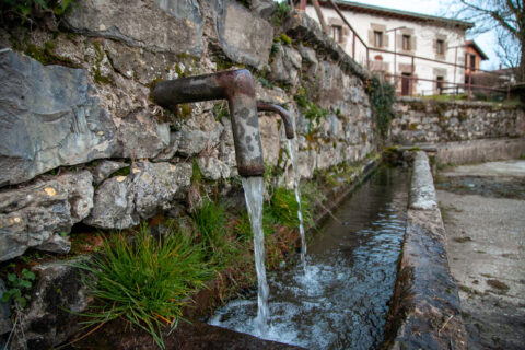 Image Not Found On Media Library