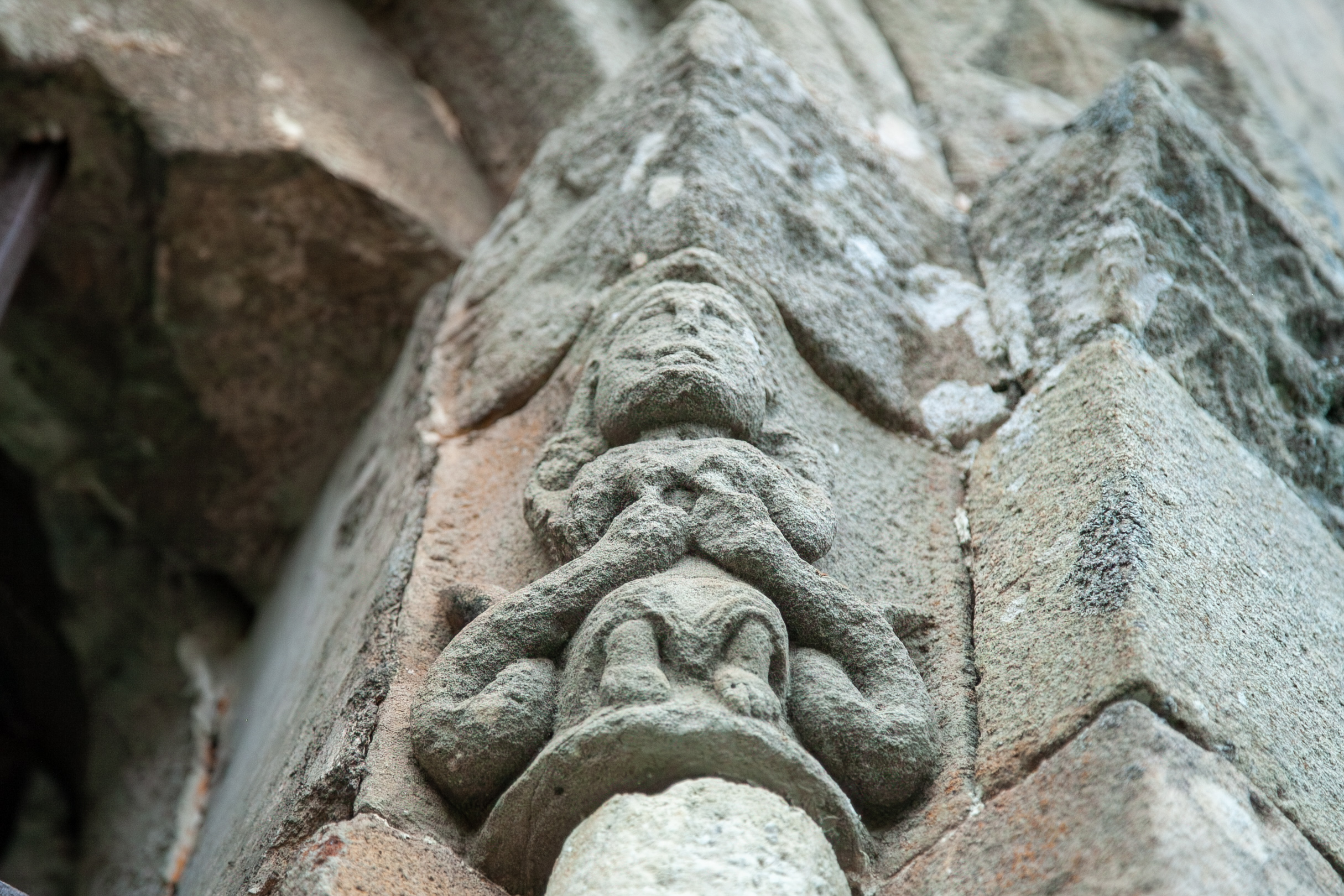 Image Not Found On Media Library