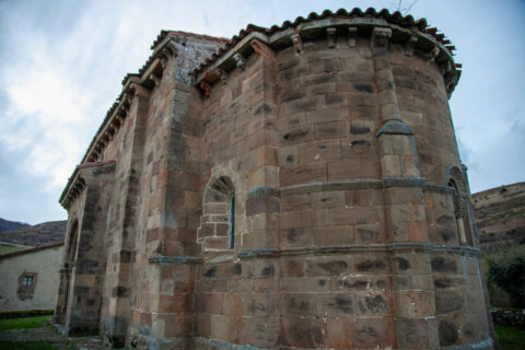 Image Not Found On Media Library